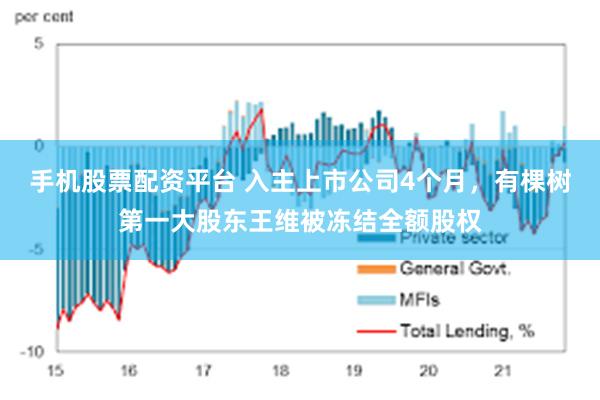 手机股票配资平台 入主上市公司4个月，有棵树第一大股东王维被冻结全额股权
