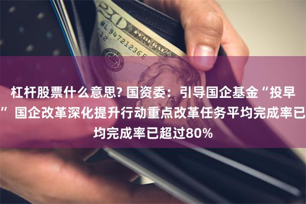 杠杆股票什么意思? 国资委：引导国企基金“投早投小投硬” 国企改革深化提升行动重点改革任务平均完成率已超过80%