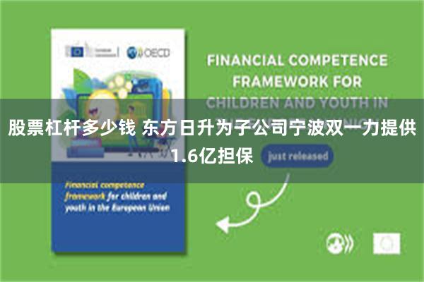 股票杠杆多少钱 东方日升为子公司宁波双一力提供1.6亿担保