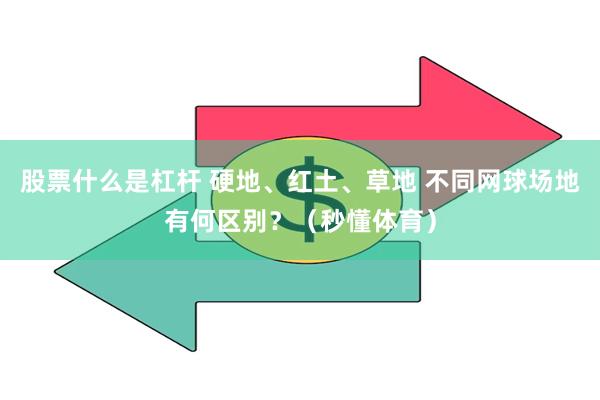 股票什么是杠杆 硬地、红土、草地 不同网球场地有何区别？（秒懂体育）