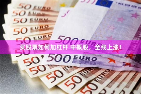 买股票如何加杠杆 中概股，全线上涨！