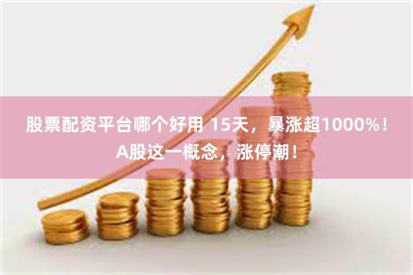 股票配资平台哪个好用 15天，暴涨超1000%！A股这一概念，涨停潮！