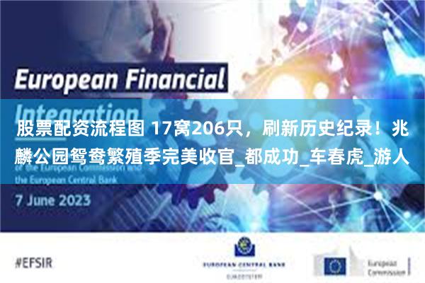 股票配资流程图 17窝206只，刷新历史纪录！兆麟公园鸳鸯繁殖季完美收官_都成功_车春虎_游人