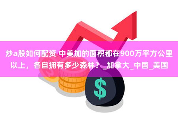 炒a股如何配资 中美加的面积都在900万平方公里以上，各自拥有多少森林？_加拿大_中国_美国