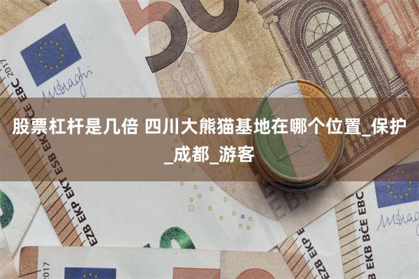 股票杠杆是几倍 四川大熊猫基地在哪个位置_保护_成都_游客